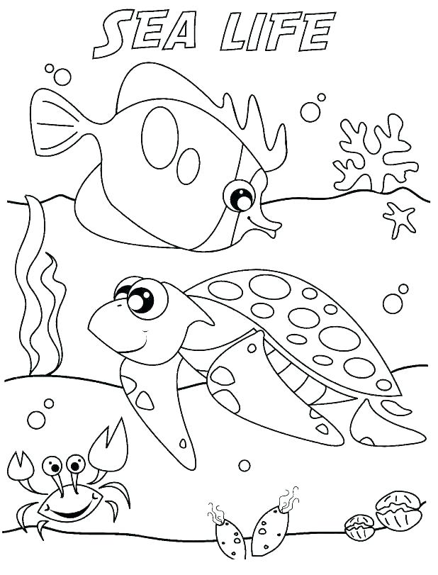 618x811 Marine Life Coloring Pages Marine Coloring Pages Sea Life Coloring