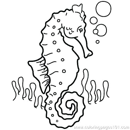 500x500 Coloring Pages Sea Animals Colouring Pages Sea Creatures Sea