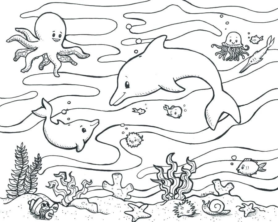 900x717 Coloring Pages Sea Animals Lovely Ocean Animals Coloring Pages