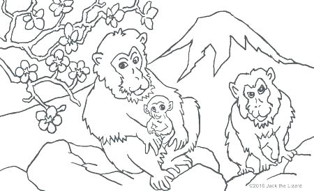 450x274 Between The Lions Coloring Pages Between The Lions Coloring Pages