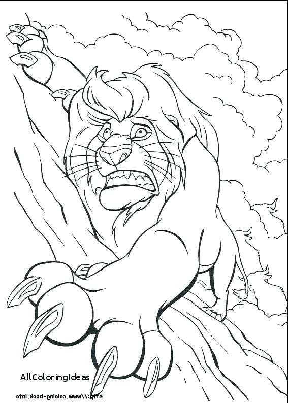 567x794 Sea Lion Coloring Pages Lion King Coloring Book Also Lion King