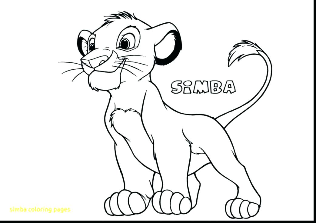 1043x736 Sea Lion Coloring Pages Printable Coloring Page Lion Lion Coloring