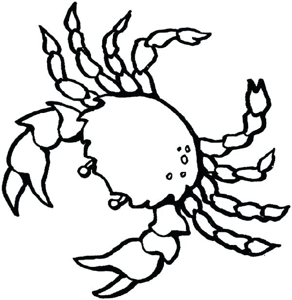 600x616 Sea Creatures Coloring Pages Sea Creature Coloring Pages Fish Sea