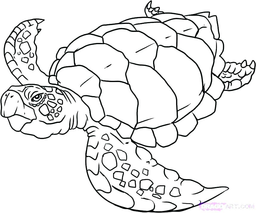 Sea Monster Coloring Pages at GetColorings.com | Free printable ...