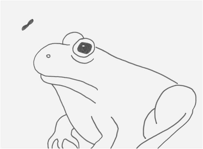 Otter Coloring Pages Pics Awesome Sea Otter Floating Coloring Page 827x609 Otter Coloring Pages Pics Awesome Sea Otter Floating Coloring Page