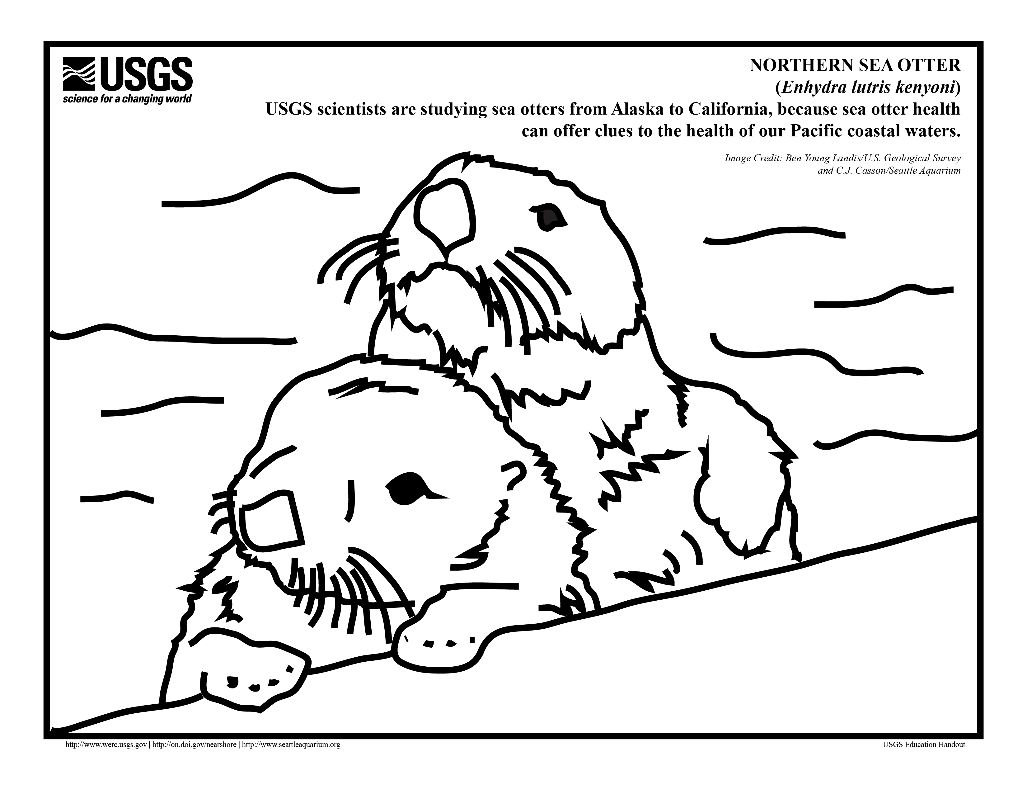Pleasant Design Otter Coloring Pages Sea Page Pictures Imagixs 3300x2550 Pleasant Design Otter Coloring Pages Sea Page Pictures Imagixs