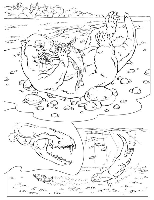 River Otter Coloring Pages, Sea Otter With A Fish Ink Spots 618x800 River Otter Coloring Pages, Sea Otter With A Fish Ink Spots