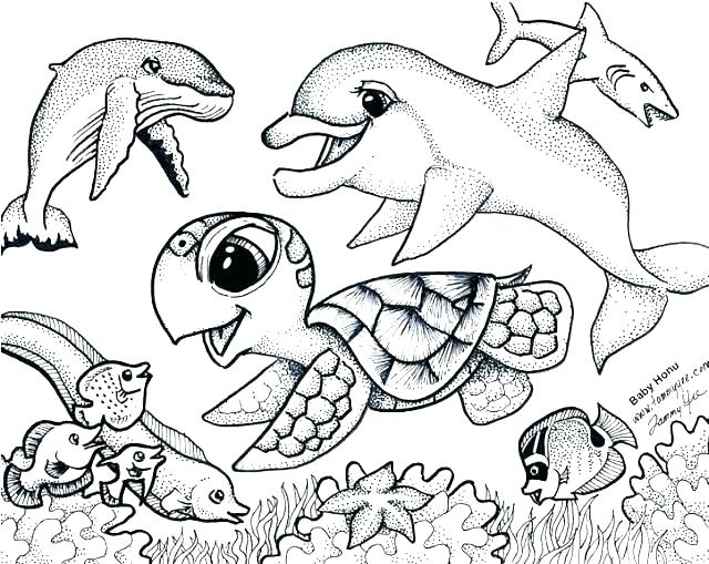 Sea Otter Coloring Page Free Baby Sea Otter Coloring Page 640x509 Sea Otter Coloring Page Free Baby Sea Otter Coloring Page