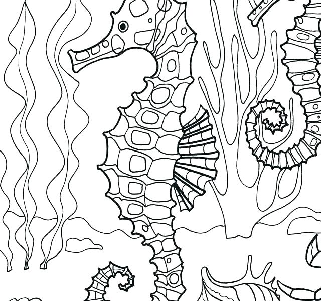 Sea Otter Coloring Pages Cartoon Sea Otter Coloring Pages For Kids 650x600 Sea Otter Coloring Pages Cartoon Sea Otter Coloring Pages For Kids