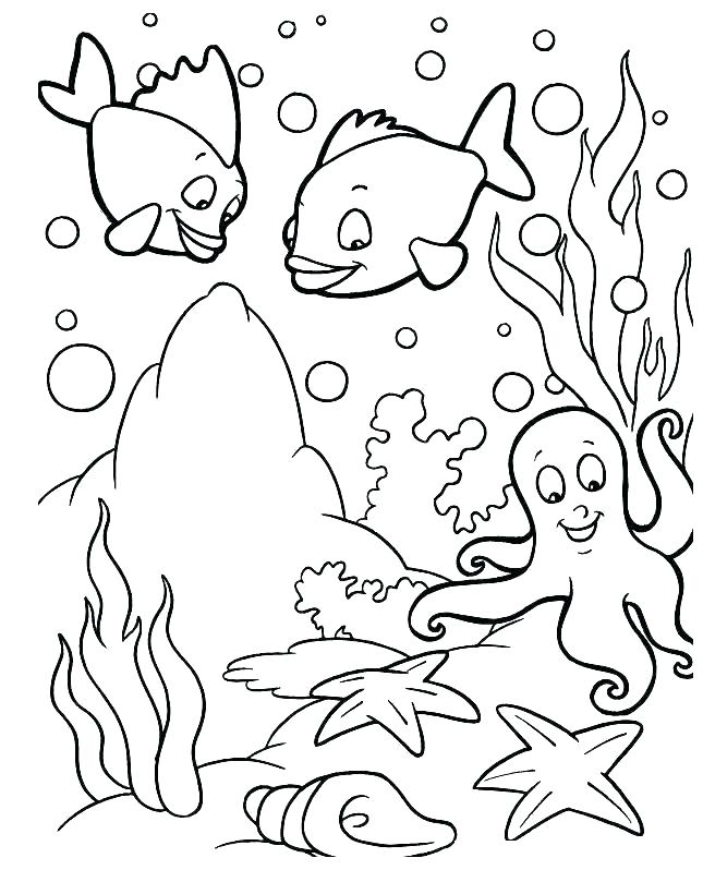 Sea Otter Coloring Pages S S S Colourg S Sea Otter Colouring Pages 645x798 Sea Otter Coloring Pages S S S Colourg S Sea Otter Colouring Pages