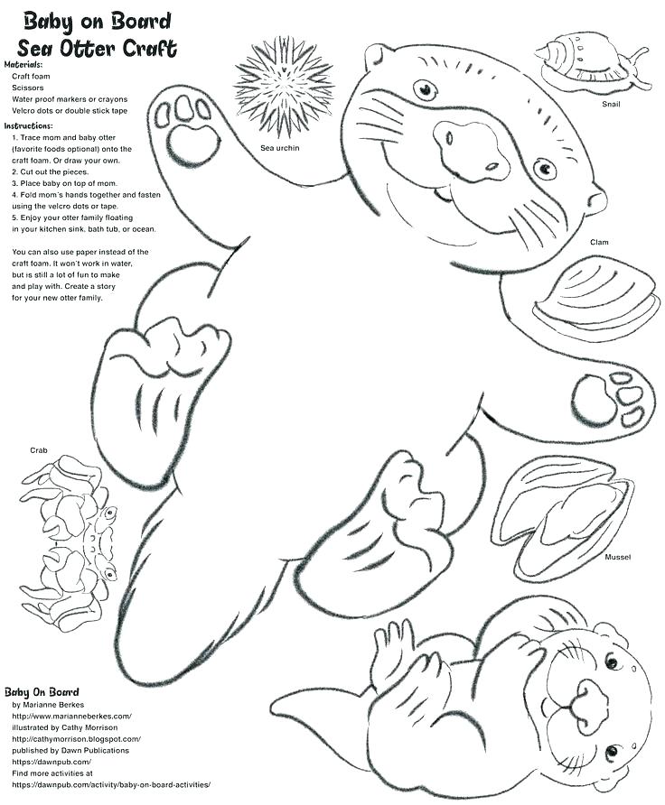 Sea Otter Coloring Pages Unique Otter Coloring Pages Or Sea Urchin 736x892 Sea Otter Coloring Pages Unique Otter Coloring Pages Or Sea Urchin