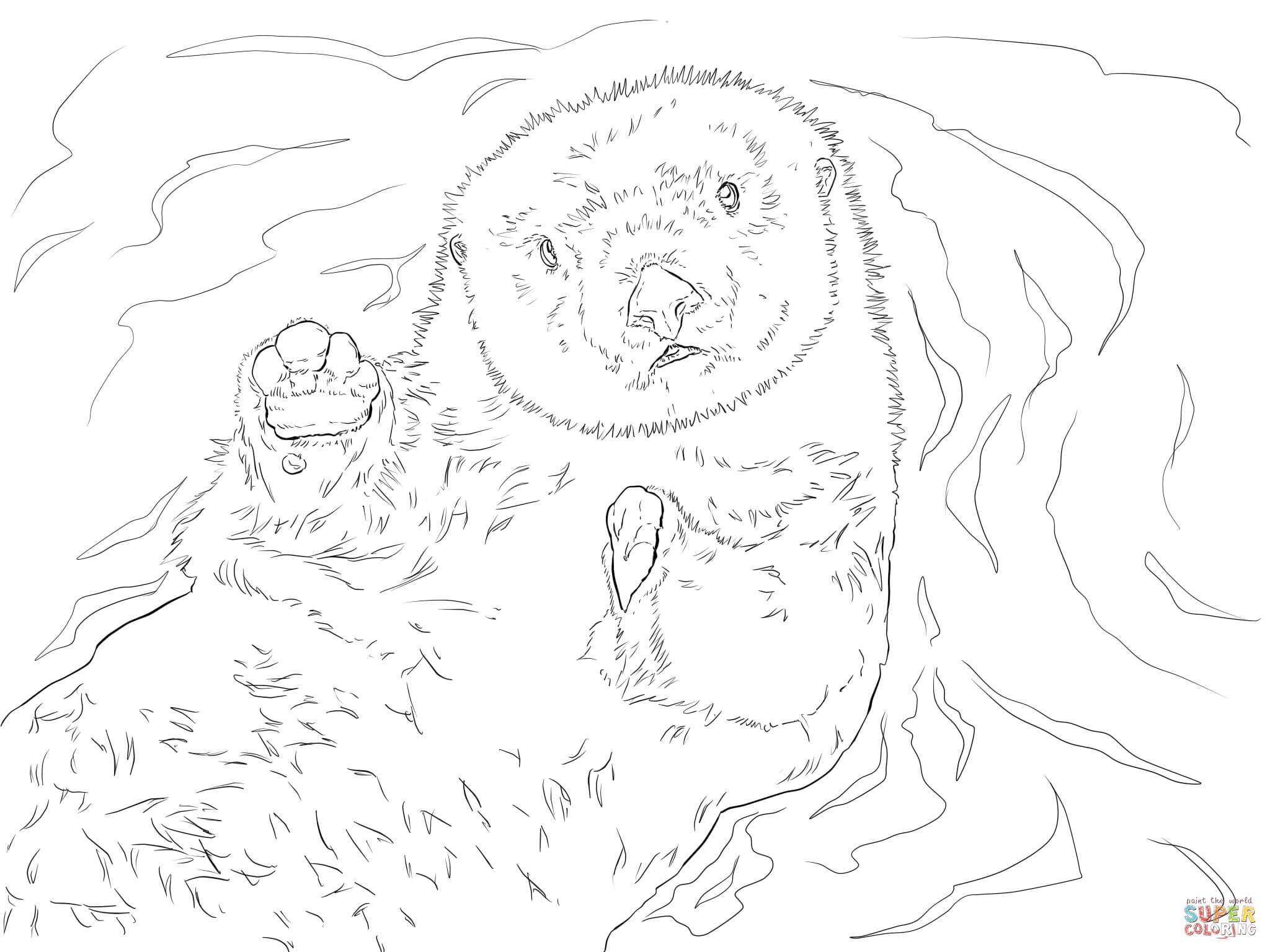 Wonderful Sea Otter Coloring Page Cool Ideas P 2048x1536 Wonderful Sea Otter Coloring Page Cool Ideas P
