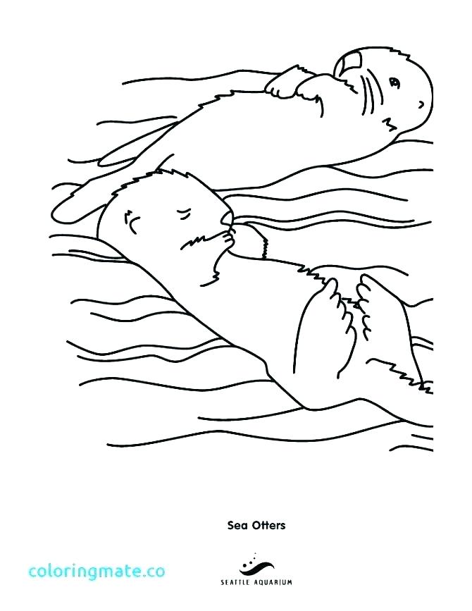 Otter Coloring Pages Cliptext.co 670x867 Otter Coloring Pages Cliptext.co