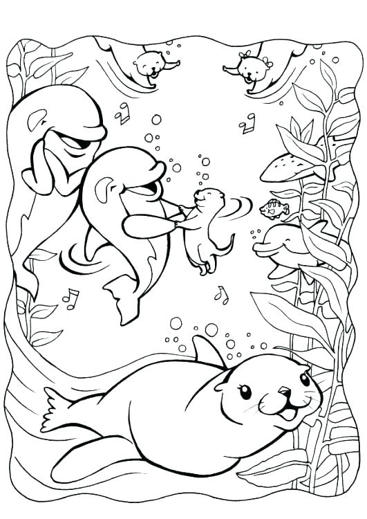 Sea Otter Coloring Pages Free 531x750 Sea Otter Coloring Pages Free
