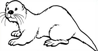 Free Coloring Pages Of White Otter 321x169 Free Coloring Pages Of White Otter