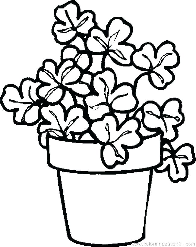 Plants Coloring Pages The Sun And Plants Of Nature Coloring Page 650x818 Plants Coloring Pages The Sun And Plants Of Nature Coloring Page