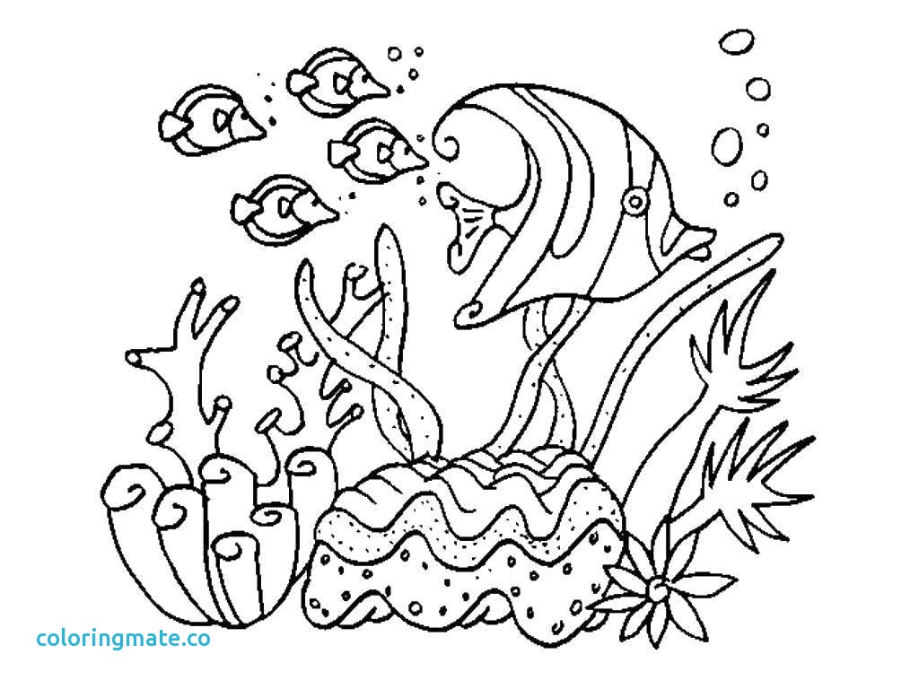 Sea Plants Coloring Pages Fresh Pimg Of Coloriafes Disney 1024x768 Sea Plants Coloring Pages Fresh Pimg Of Coloriafes Disney