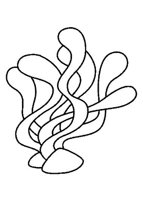 Seaweed Coloring Pages 600x849 Seaweed Coloring Pages