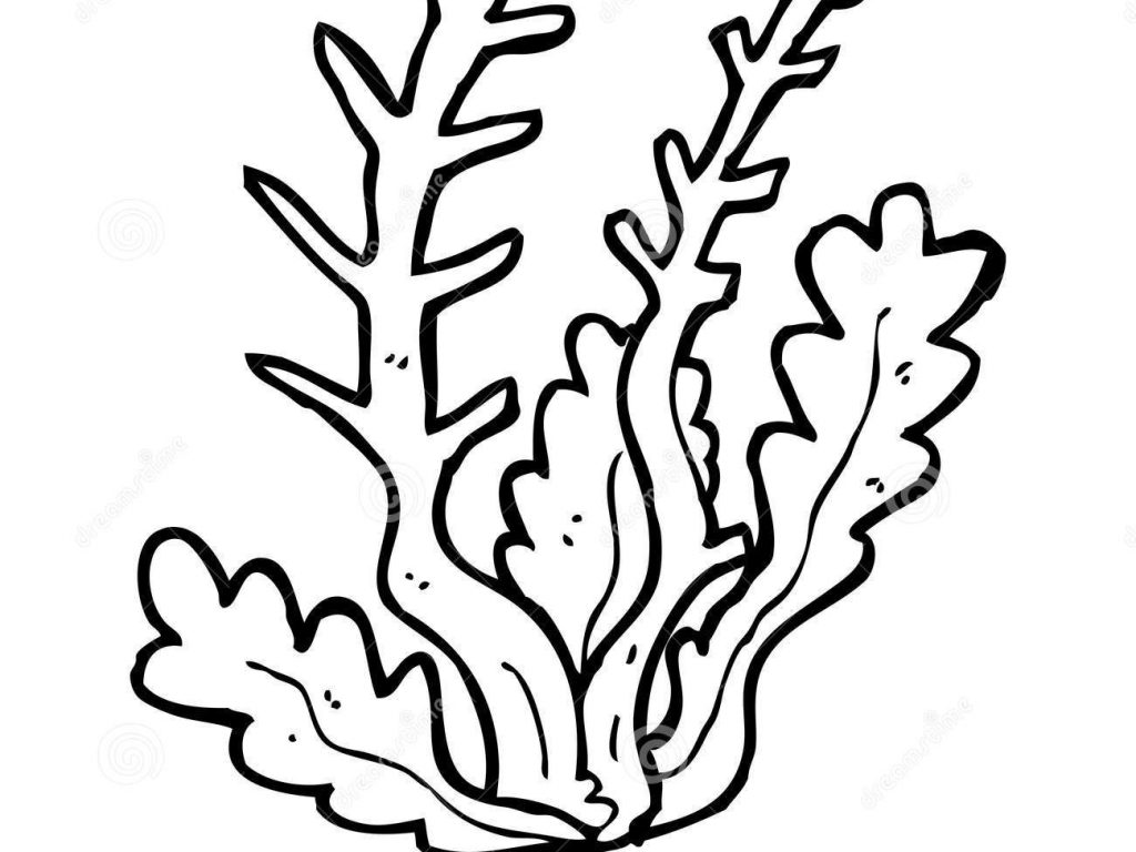 New Sea Plants Coloring Pages Artsybarksy Lively 1024x768 New Sea Plants Coloring Pages Artsybarksy Lively