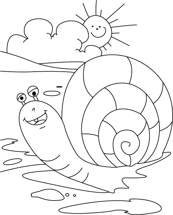 550x684 Sea Snail Free Coloring Page Download Print Online Coloring Sea