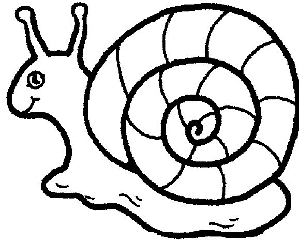 992x800 Best Of Snail Coloring Page Gallery Printable Coloring Sheet