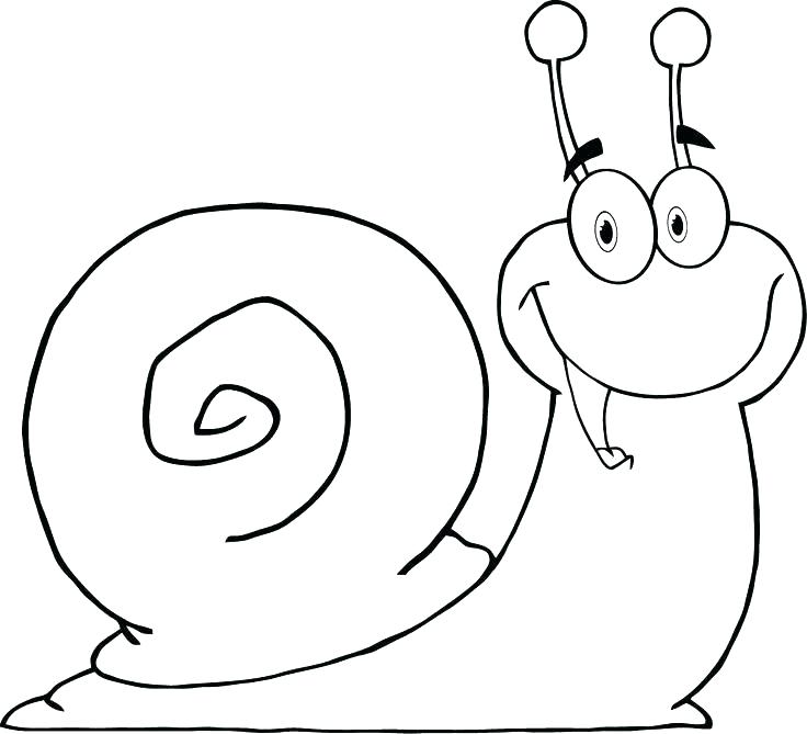 736x669 Snail Coloring Page The Snail Is Smiling Coloring Pages Cute Snail