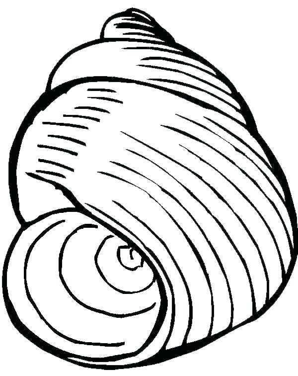 600x756 Excellent Snail Coloring Pages Sea Animal Pictures To Color Nutmeg