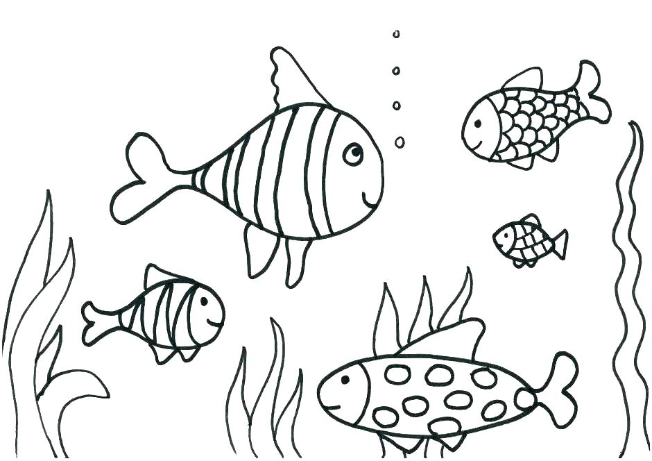 940x664 Sea Snake Coloring Sheet Printable Coloring Lifetime Pictures