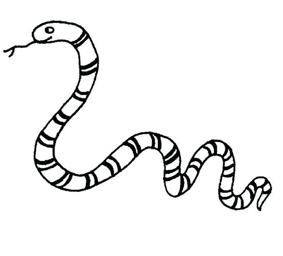 554x502 Snake Coloring Pages Free Coloring Pages Of Snake Snake Coloring