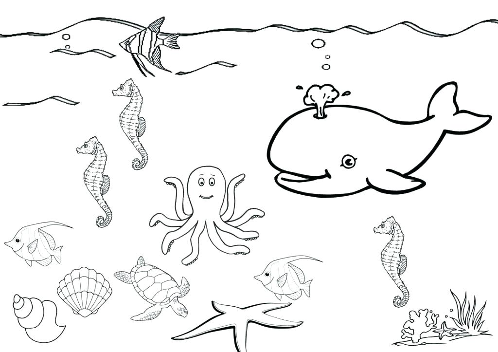 Sea Star Coloring Page at GetColorings.com | Free printable colorings ...