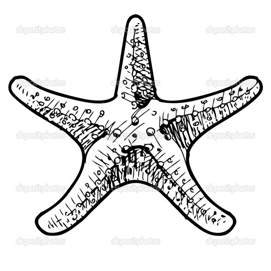 940x940 Sea Star Coloring Page