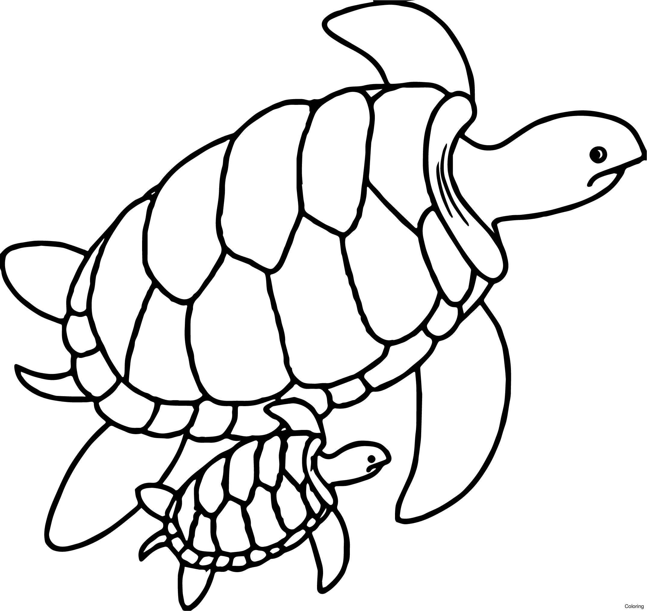 Coloring Pages Of Baby Sea Turtles Fresh Sea Turtle Coloring Page 2149x2028 Coloring Pages Of Baby Sea Turtles Fresh Sea Turtle Coloring Page