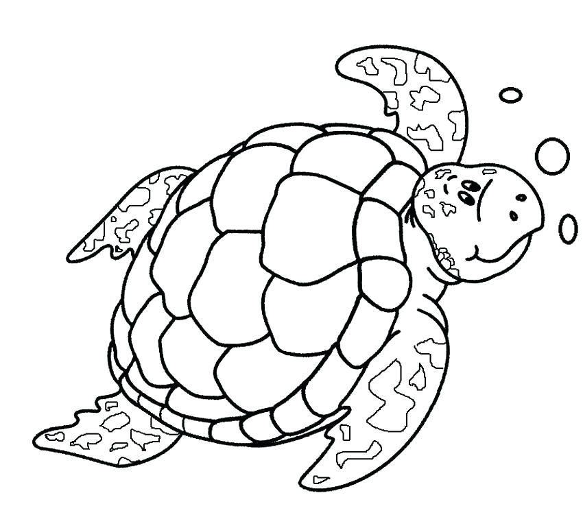 Coloring Pages Turtle Printable Turtle Coloring Pages Sea Turtle 850x770 Coloring Pages Turtle Printable Turtle Coloring Pages Sea Turtle