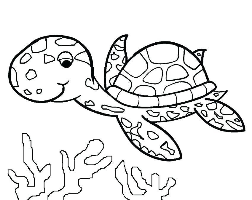 Free Printable Sea Turtle Adult Coloring Page Download It In Free 850x675 Free Printable Sea Turtle Adult Coloring Page Download It In Free