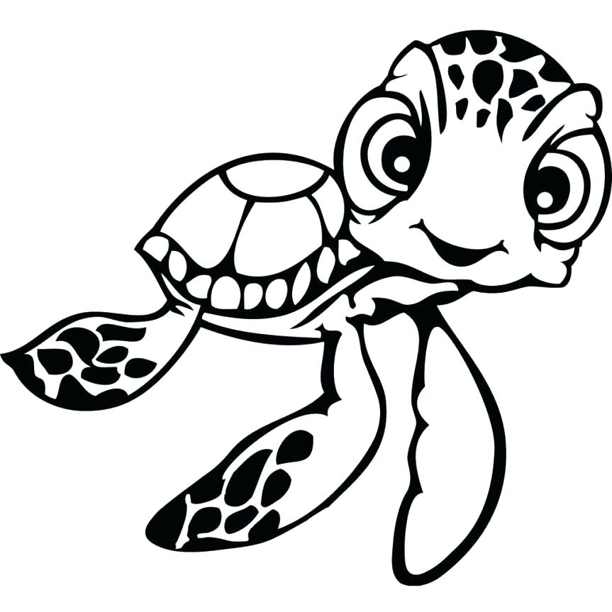 Turtle Coloring Pages Turtle Color Sheet Turtle Coloring Pages New 863x863 Turtle Coloring Pages Turtle Color Sheet Turtle Coloring Pages New