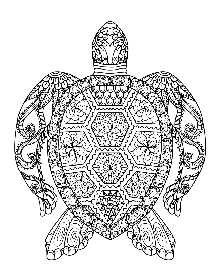 Unique Author Promotion And Turtle Coloring Pages For Adults 864x1080 Unique Author Promotion And Turtle Coloring Pages For Adults
