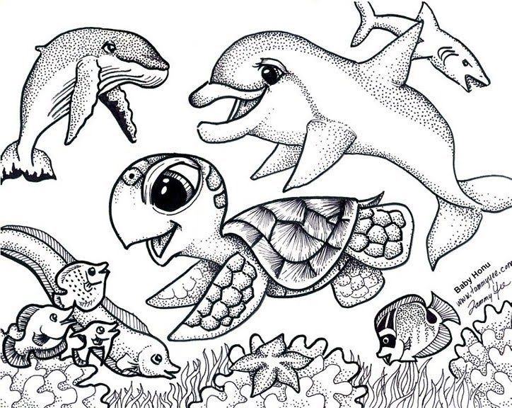 Sea Turtle Coloring Pages Printable Sea Turtle Coloring Pages Sea 724x576 Sea Turtle Coloring Pages Printable Sea Turtle Coloring Pages Sea