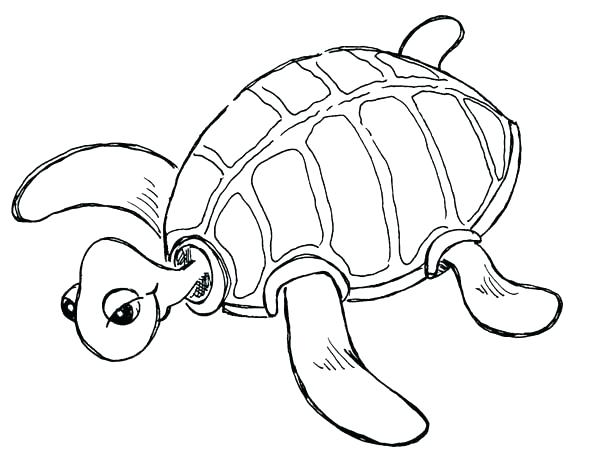 Free Printable Turtle Coloring Pages Printable Turtle Coloring 600x464 Free Printable Turtle Coloring Pages Printable Turtle Coloring