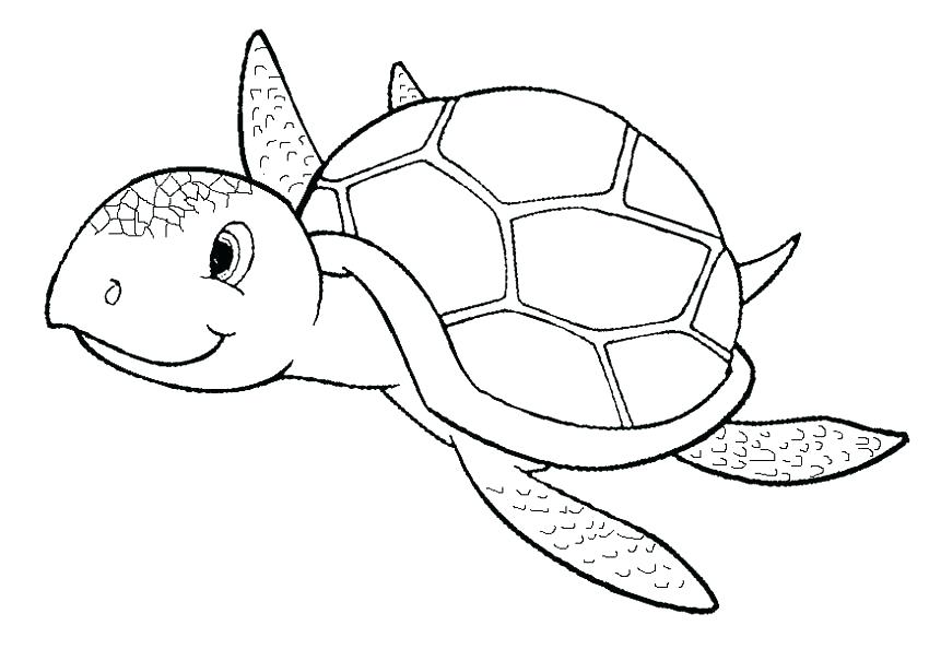Printable Turtle Coloring Pages Turtle Coloring Pages Modern 850x594 Printable Turtle Coloring Pages Turtle Coloring Pages Modern