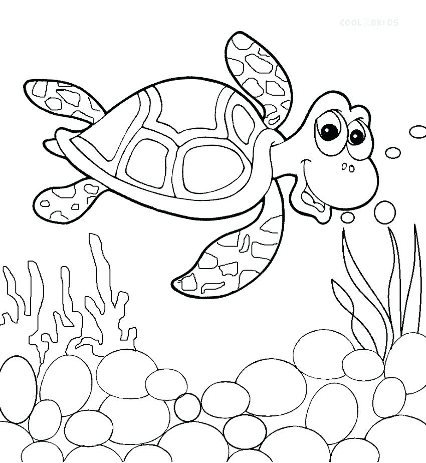 Realistic Sea Turtle Coloring Pages Printable For Kids Coloring 850x924 Realistic Sea Turtle Coloring Pages Printable For Kids Coloring