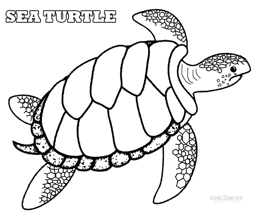 Sea Turtle Coloring Pages To Print 850x731 Sea Turtle Coloring Pages To Print