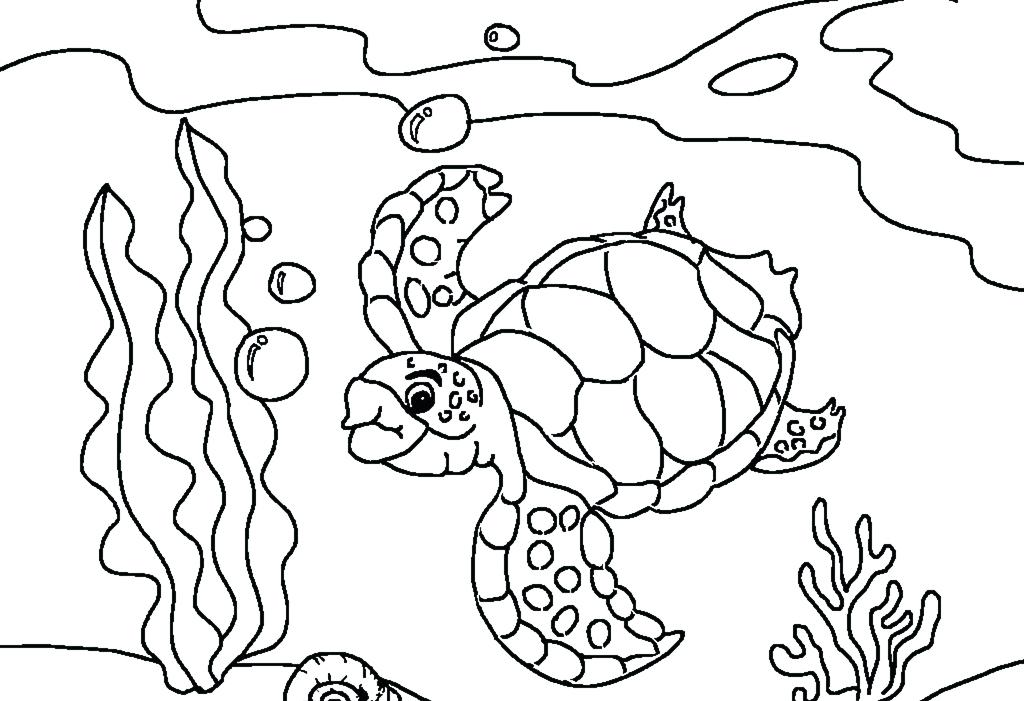 Turtle Coloring Page Sea Turtles Coloring Pages Ninja Turtle 1024x701 Turtle Coloring Page Sea Turtles Coloring Pages Ninja Turtle