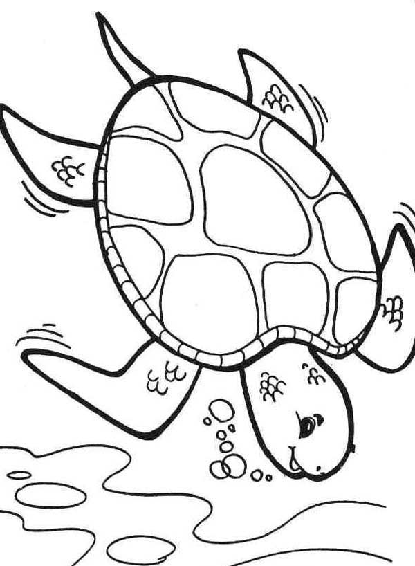 Diving Deeper Sea Turtle Coloring Page 600x818 Diving Deeper Sea Turtle Coloring Page