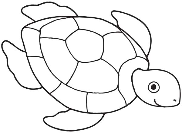 600x441 Sea Turtle Coloring Pages