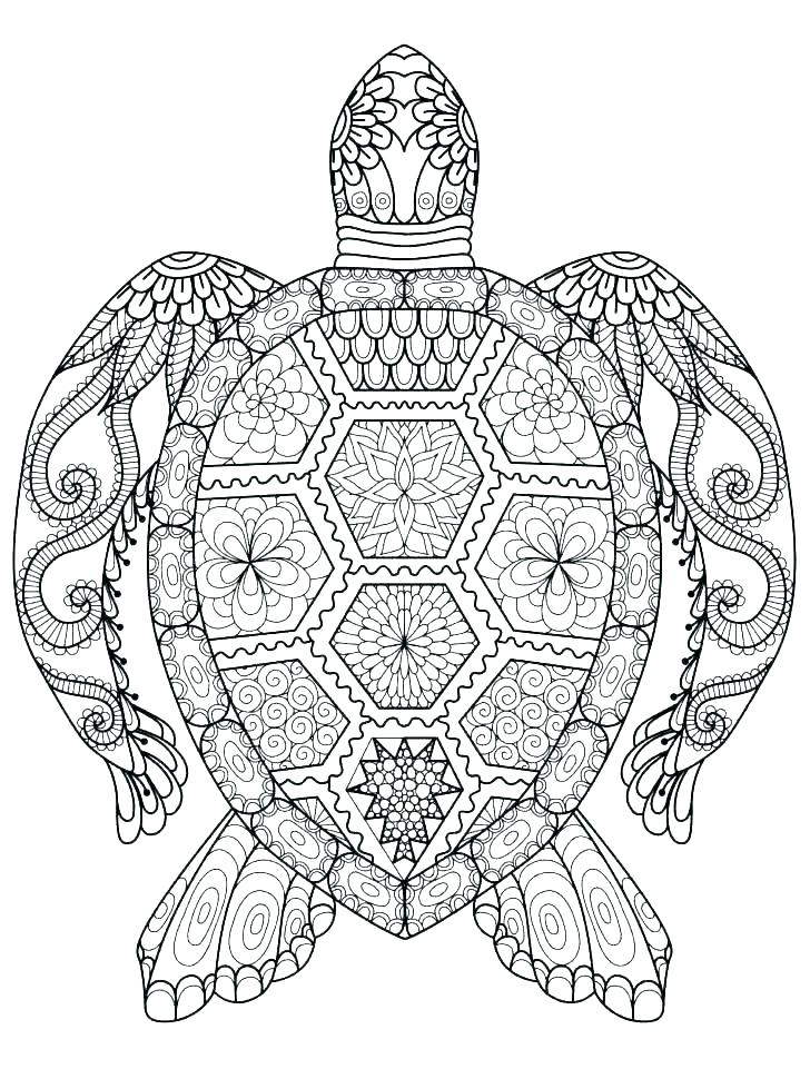 Sea Turtle Coloring Pages Printable at GetColorings.com | Free ...