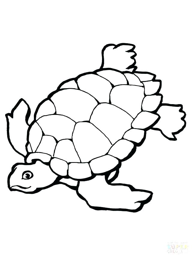 Green Sea Turtle Coloring Page Coloring Page Of Turtle Coloring 640x853 Green Sea Turtle Coloring Page Coloring Page Of Turtle Coloring