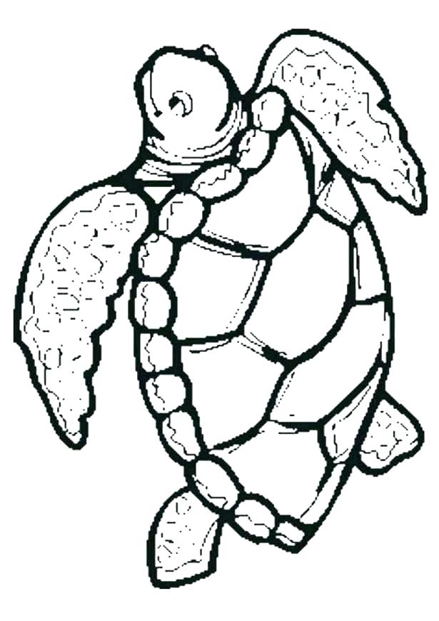 Sea Turtle Pictures To Color Turtle Coloring Pages Sea Turtle 615x870 Sea Turtle Pictures To Color Turtle Coloring Pages Sea Turtle