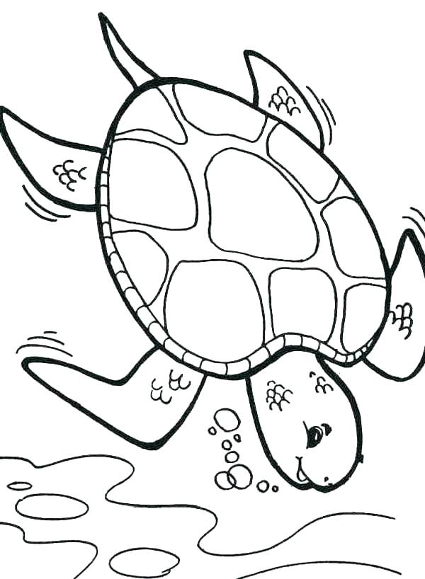 Sea Turtle Printable Coloring Pages at GetColorings.com | Free ...