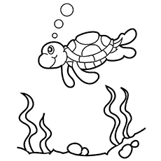 Top 10 Free Printable Cute Sea Turtle Coloring Pages Online 230x230 Top 10 Free Printable Cute Sea Turtle Coloring Pages Online