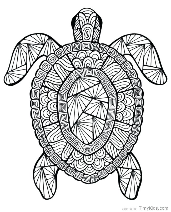 Coloring Pages Turtle Turtle Printable Coloring Pages Coloring 650x805 Coloring Pages Turtle Turtle Printable Coloring Pages Coloring